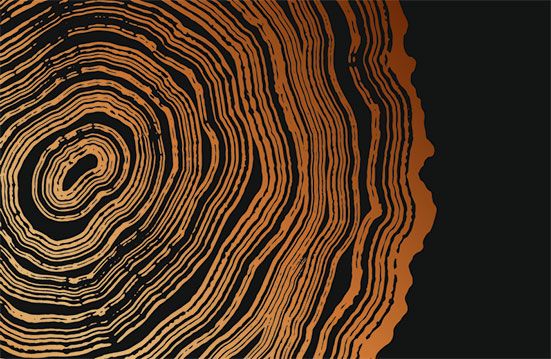 Persönlichkeitsentwicklung