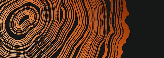 Persönlichkeitsentwicklung